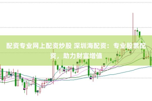 配资专业网上配资炒股 深圳海配资：专业股票配资，助力财富增值