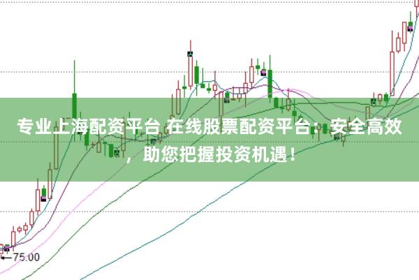 专业上海配资平台 在线股票配资平台：安全高效，助您把握投资机遇！
