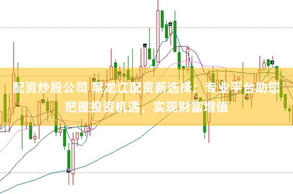 配资炒股公司 黑龙江配资新选择：专业平台助您把握投资机遇，实现财富增值