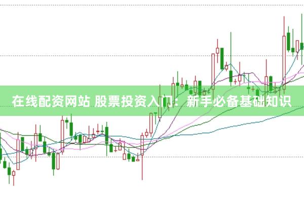 在线配资网站 股票投资入门：新手必备基础知识
