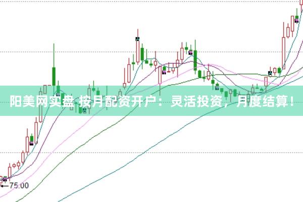 阳美网实盘 按月配资开户：灵活投资，月度结算！