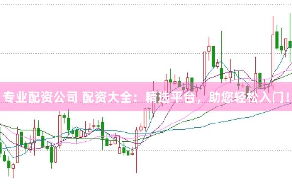 专业配资公司 配资大全：精选平台，助您轻松入门！