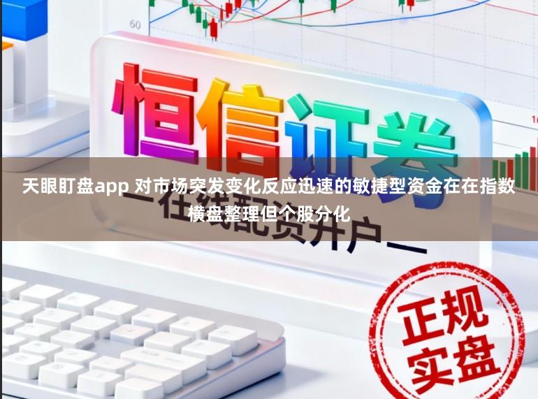 天眼盯盘app 对市场突发变化反应迅速的敏捷型资金在在指数横盘整理但个股分化